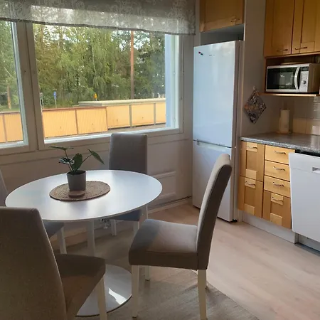 Apartamento 3 H + Keittioe Ja Parveke, Juuri Remontoitu!