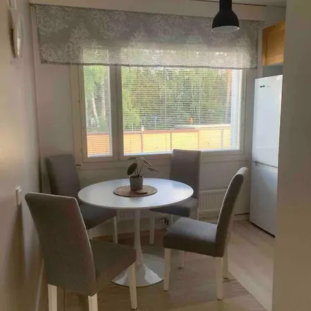 Apartamento 3 H + Keittioe Ja Parveke, Juuri Remontoitu! *